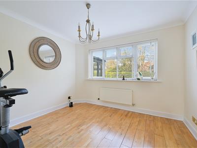 Picture 30